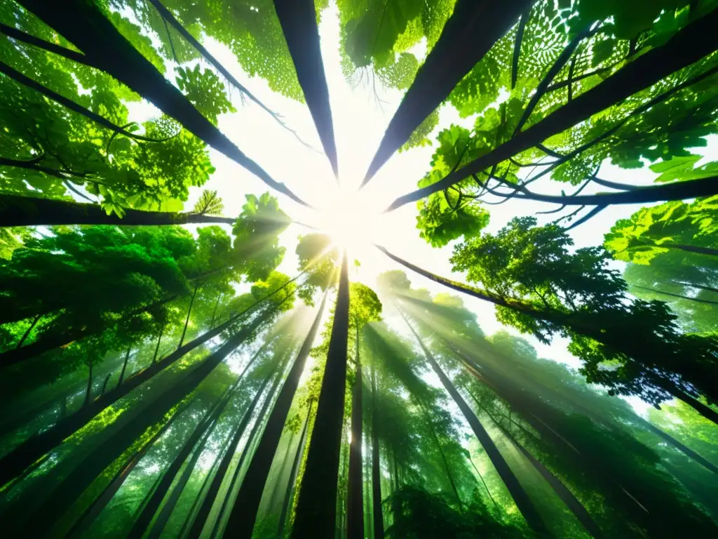 Exuberante dosel forestal con luz solar filtrándose a través de las hojas, mostrando la diversa vegetación y riqueza de tonos verdes